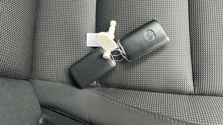 Mazda CX-30 2.5 e-Skyactiv G MHEV [140] Homura 5dr Petrol Hatchback